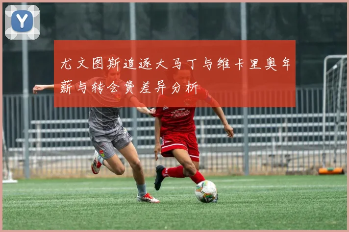 尤文图斯追逐大马丁与维卡里奥年薪与转会费差异分析