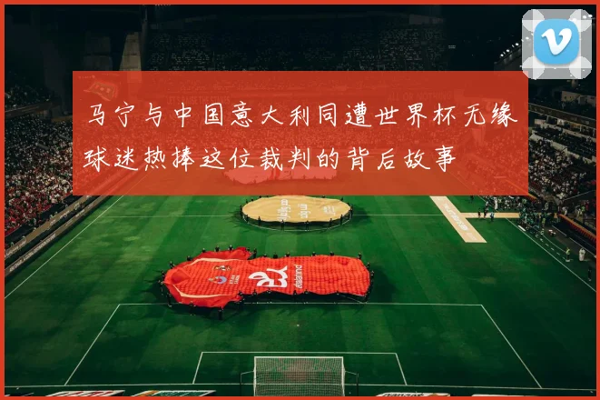 马宁与中国意大利同遭世界杯无缘球迷热捧这位裁判的背后故事
